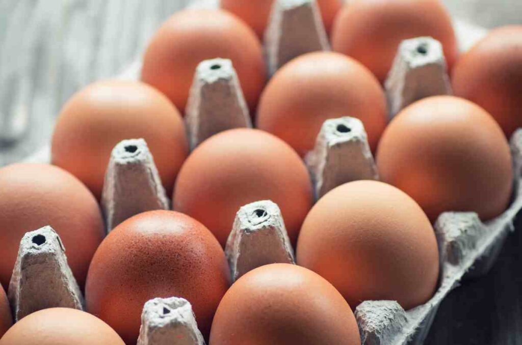 Historia de los huevos a la donostiarra, una receta de las abuelas vascas 2