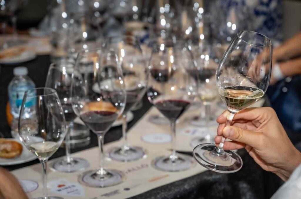 9 vinos mexicanos ganan Gran Medalla de Oro en Concours Mondial de Bruxelles