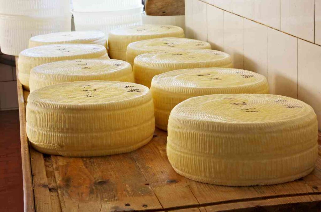 Historia y origen del queso Asiago, una delicia italiana 2