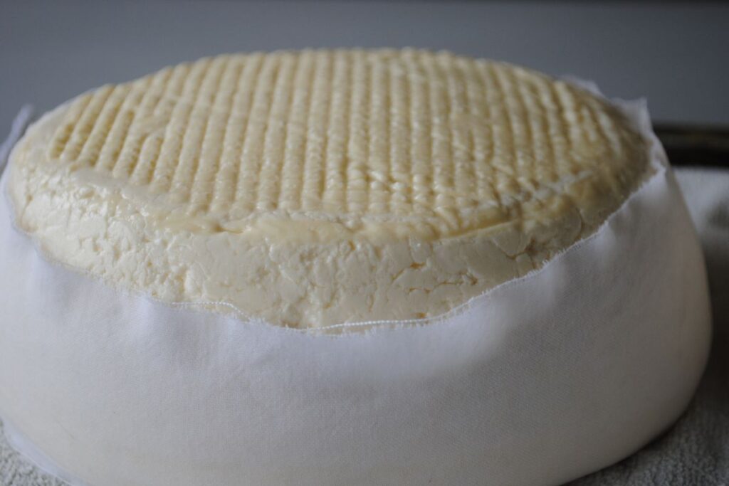 El queso fresco es una preparación fácil que se puede tener listo en casa.