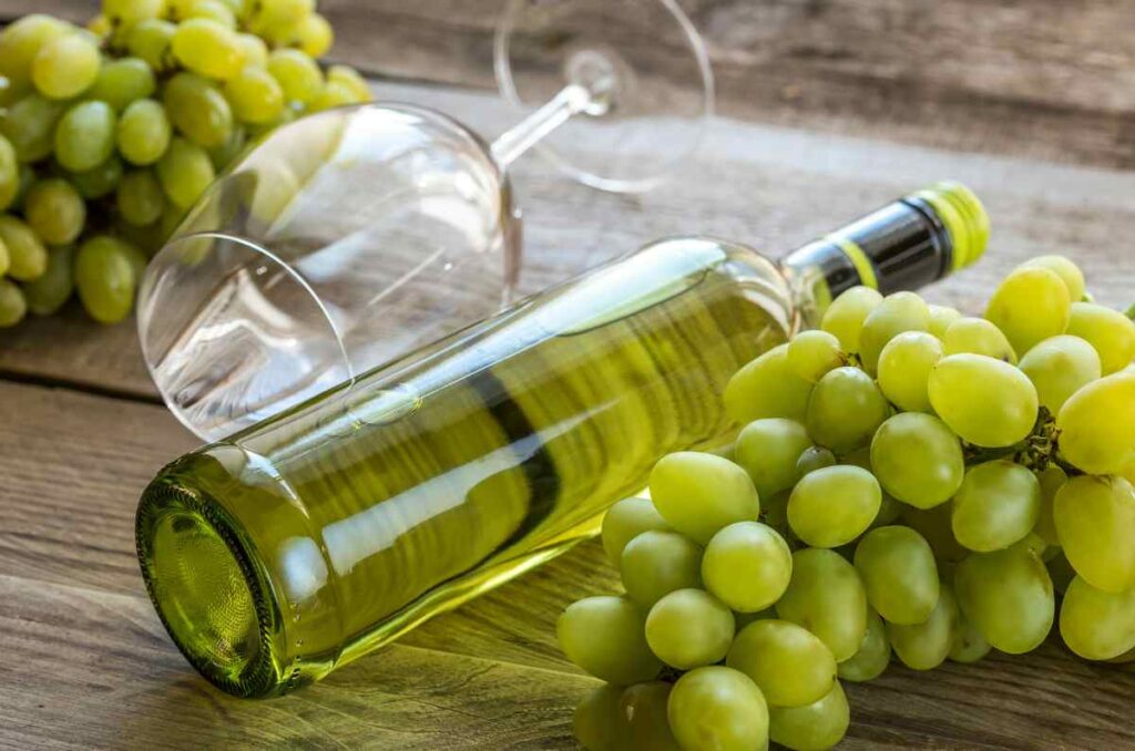 Cómo maridar vinos Sauvignon Blanc y algunas etiquetas que debes probar 1