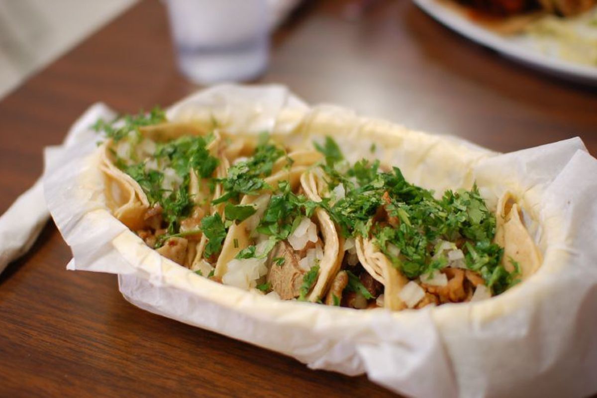 4. Los Güeros de Boturini 