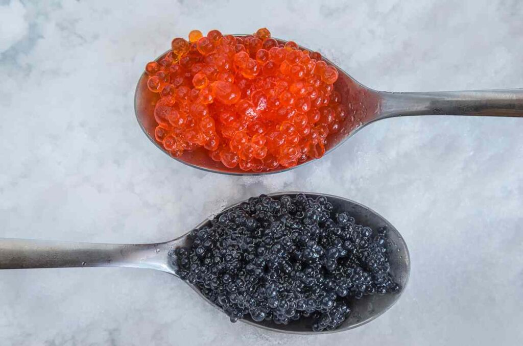 Tipos y variedades de caviar, una guía completa que debes conocer