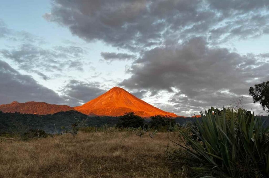 Mezcal de los cerros de Colima, el secreto mejor guardado del estado 0