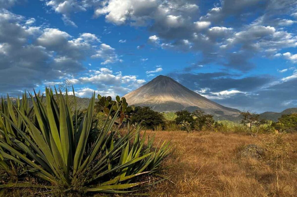 Mezcal de los cerros de Colima, el secreto mejor guardado del estado