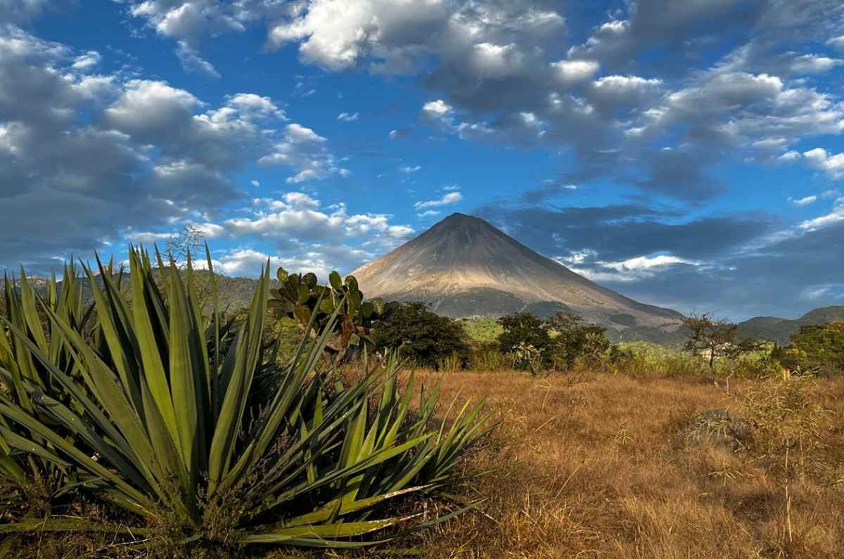 Mezcal de los cerros de Colima, el secreto mejor guardado del estado