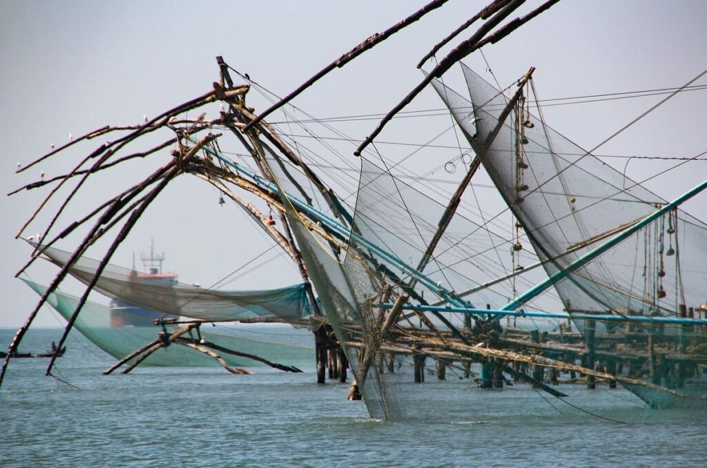 Así opera el ‘lavado de pescado’ ilegal en México y cómo combatirlo 1