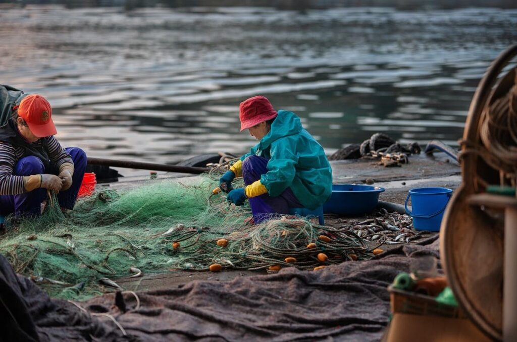 Así opera el ‘lavado de pescado’ ilegal en México y cómo combatirlo