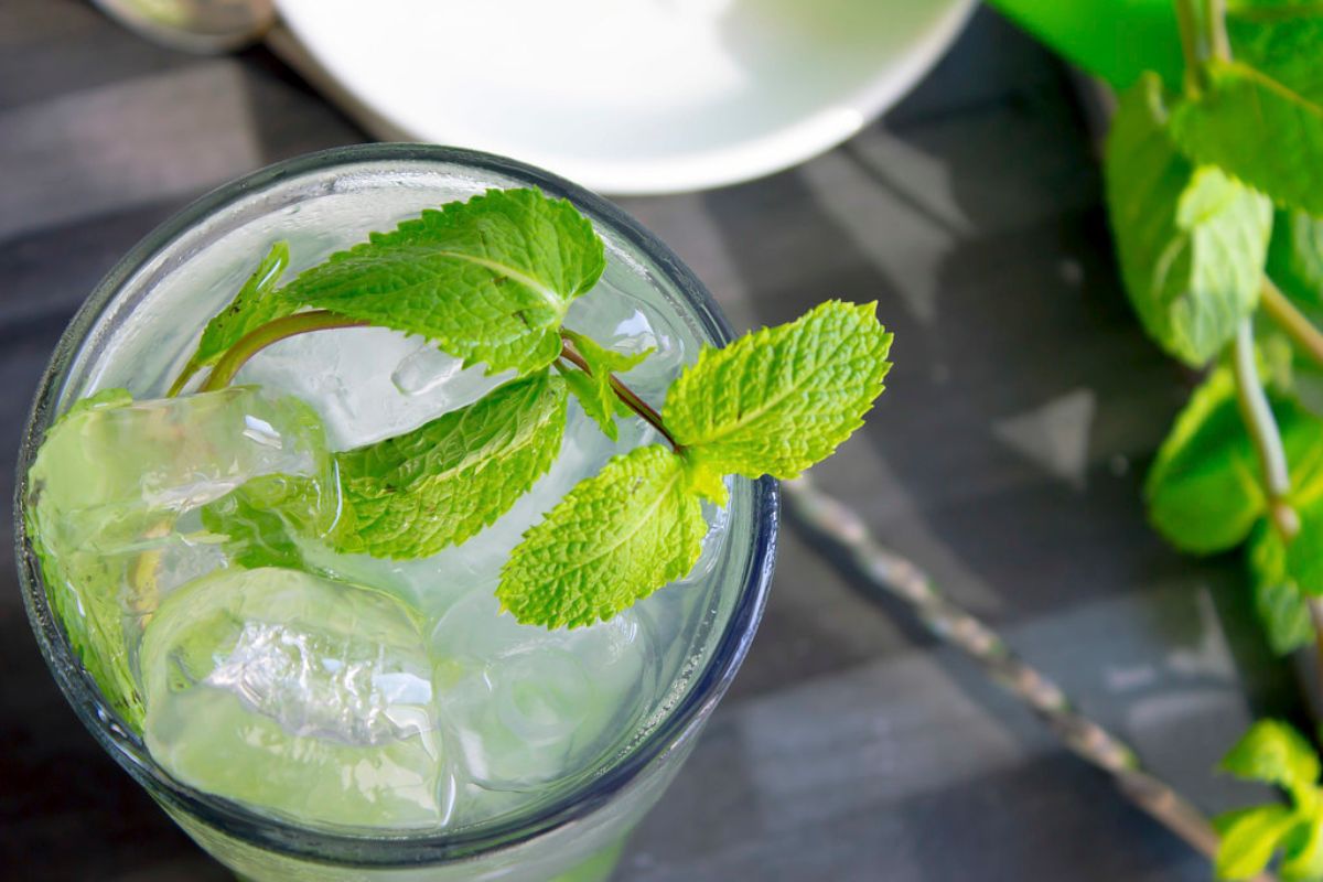 El mojito se convierte en el mejor coctel del mundo según Taste Atlas 