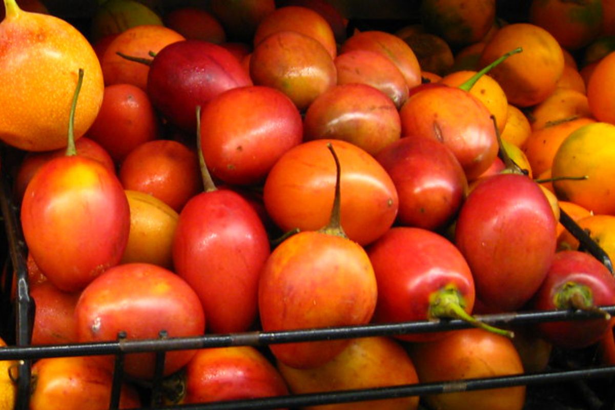 Tomate de árbol maduro. Foto de PxHere.