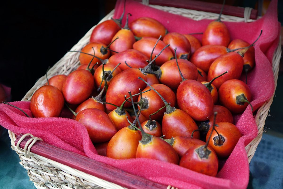 Tomate de árbol a granel. Foto de PxHere.