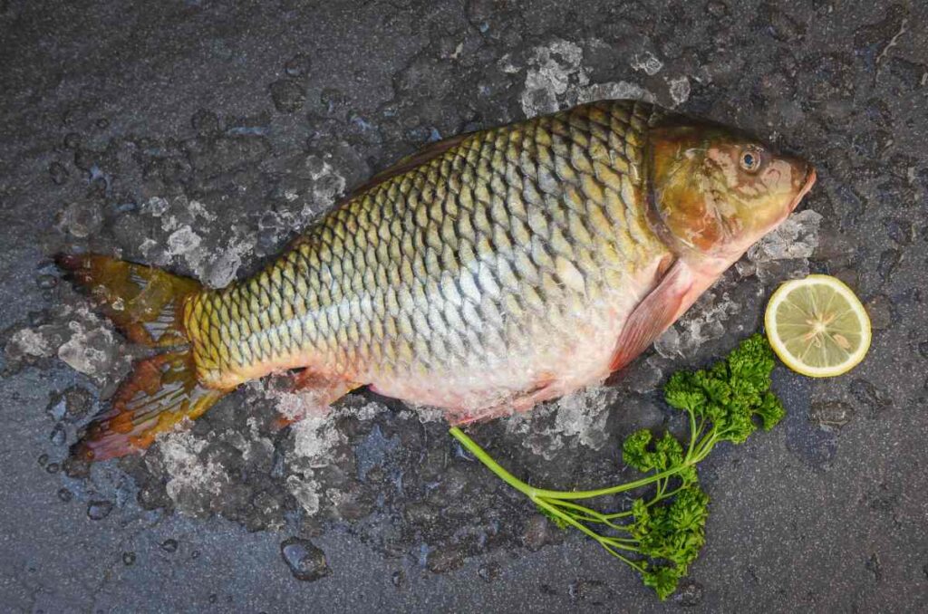 Caldo de carpa, una delicia de Guanajuato que debes probar 1