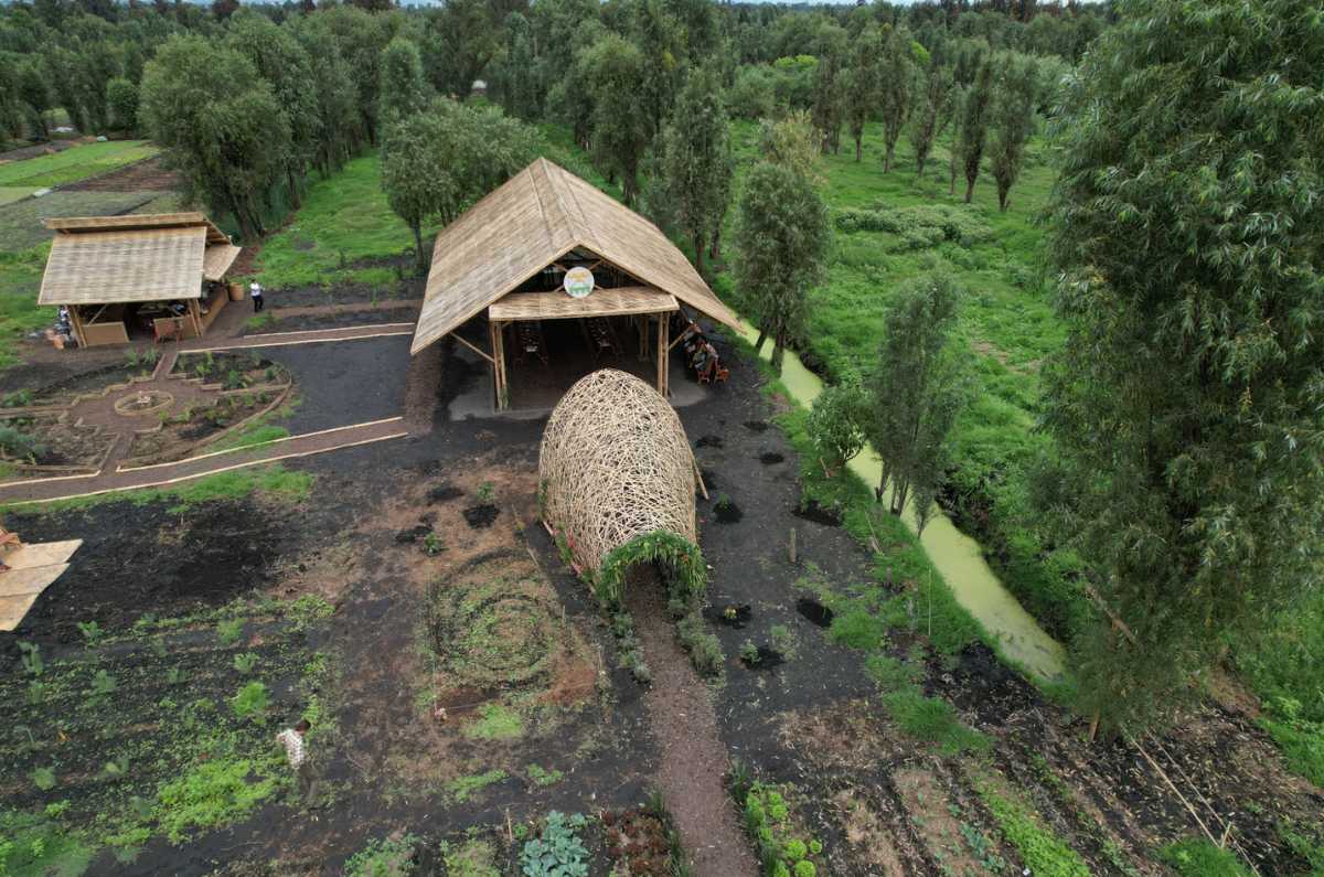 Chinampa Fuego Vivo: una opción para comer y aprender de las chinampas