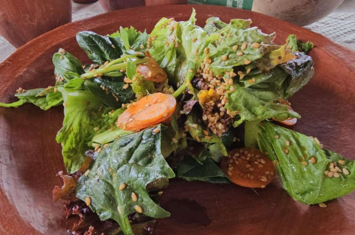 ensalada de espinaca, zanahoria, lechuga y ajonjolí con una vinagreta