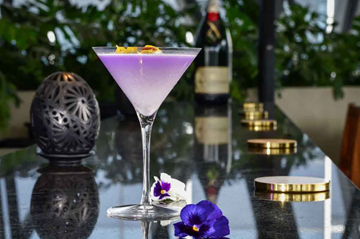 Hyatt Regency Mexico City Insurgentes presenta SkyBar 7.24: cocteles con chamapaña