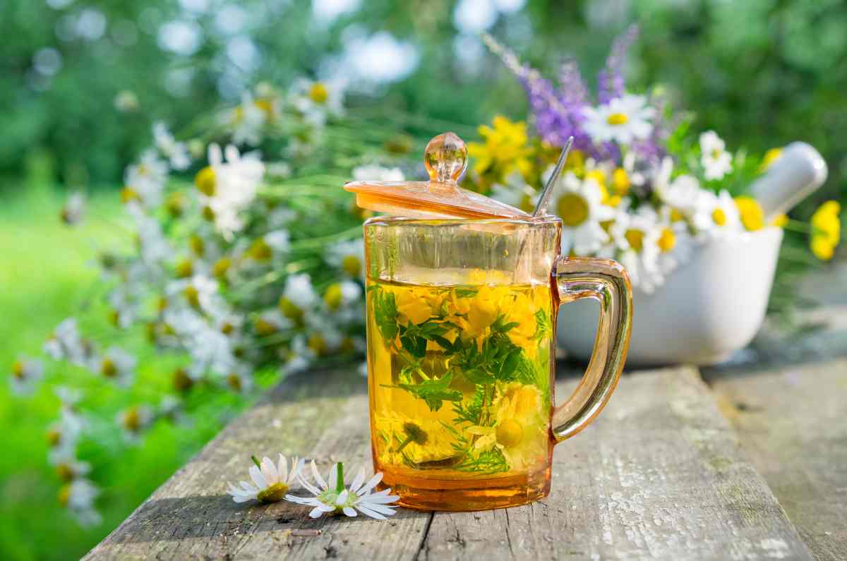 5 infusiones naturales para lograr un sueño reparador