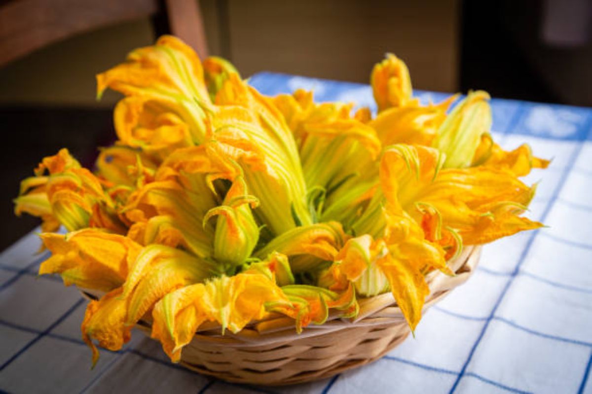 Flor de calabaza fresca. Foto de iStock.