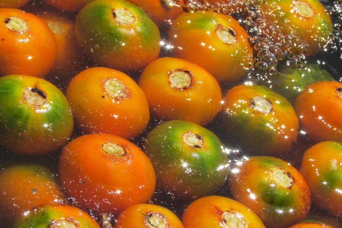 Fruta en proceso de desinfección. Foto de Flickr.