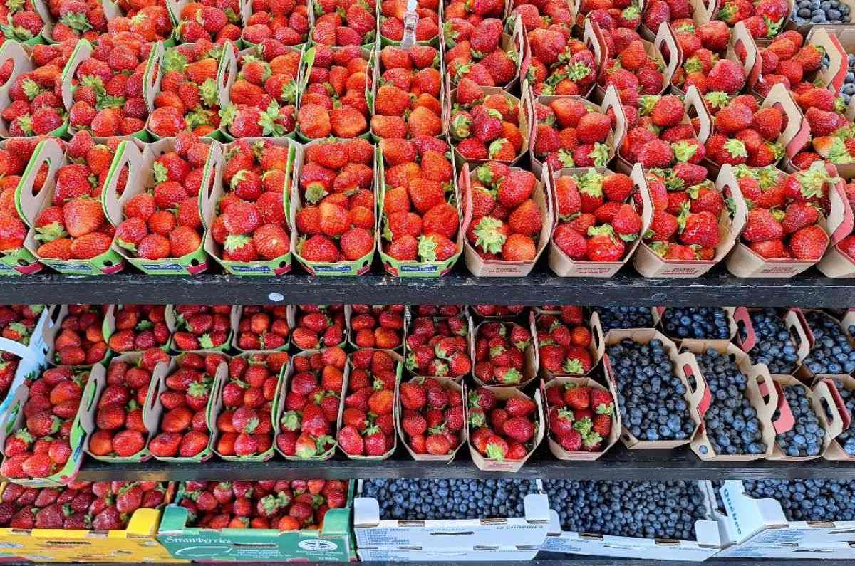 Frutos del bosque en mercado Jean-Talon, foto de Miriam Carmo