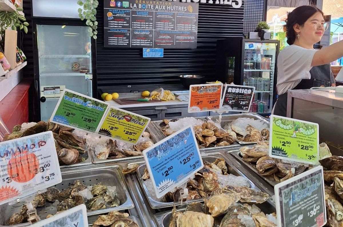 Conchas en mercado Jean-Talon, foto de Miriam Carmo