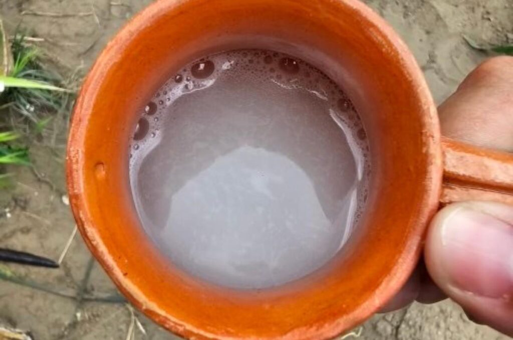 Pulque 