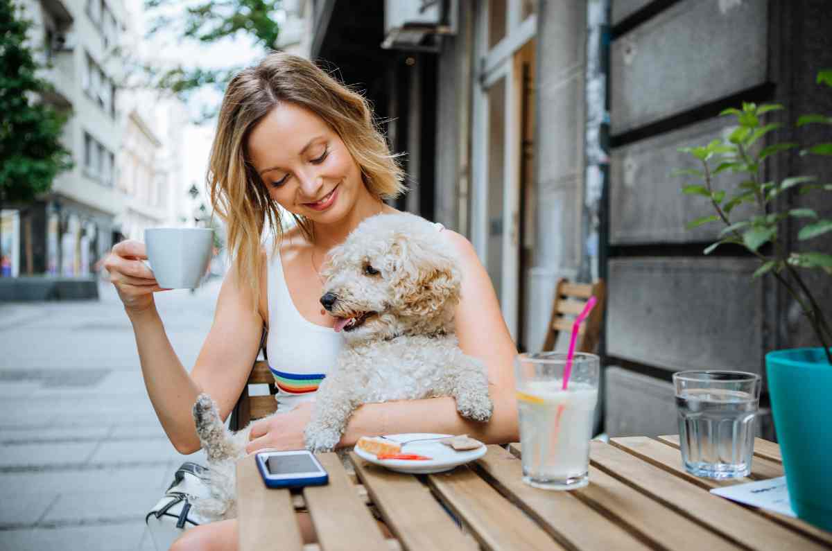 Tips para disfrutar restaurantes pet friendly y dónde visitarlos en México