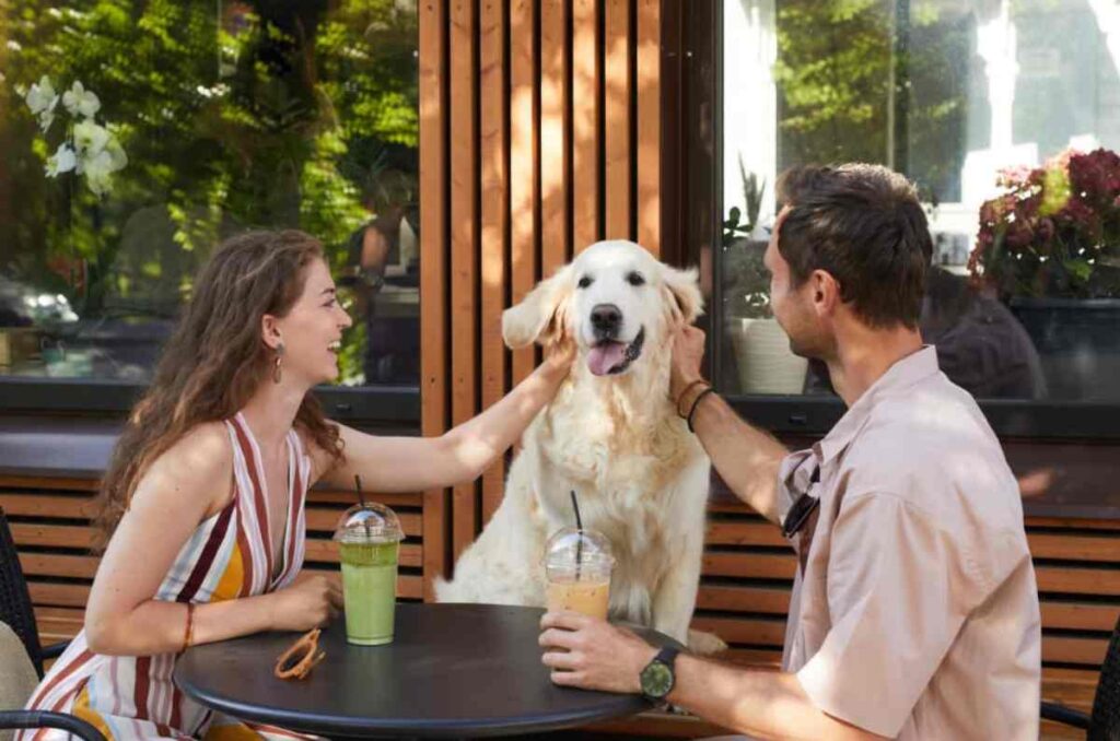 Tips para disfrutar restaurantes pet friendly y dónde visitarlos en México 0