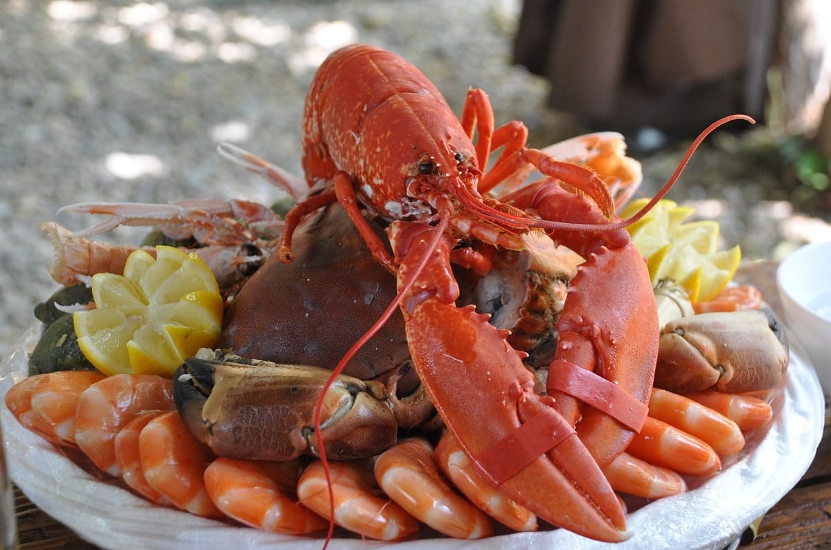 4 cosas que hacer este verano en La Paz, Baja California Sur