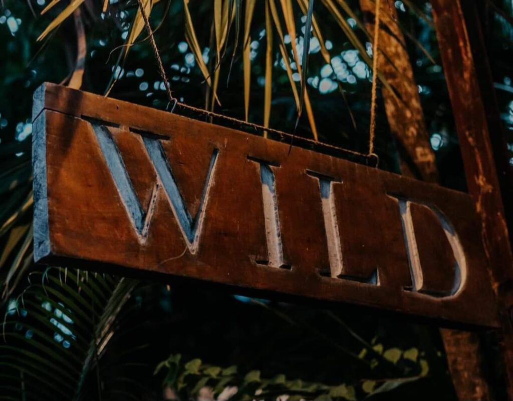 Restaurante WILD Tulum