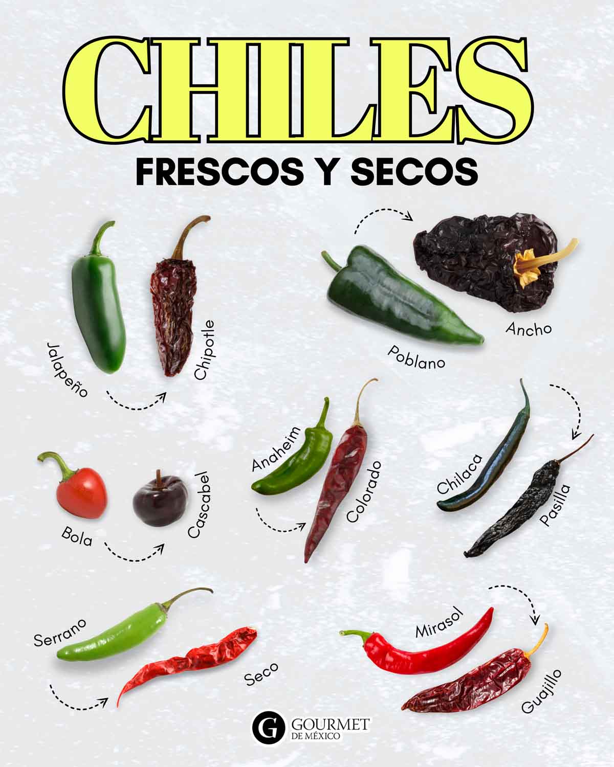 Como son los chiles secos