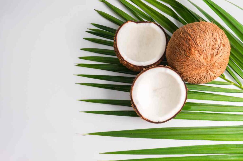 5 beneficios y propiedades del coco que deberías conocer 1