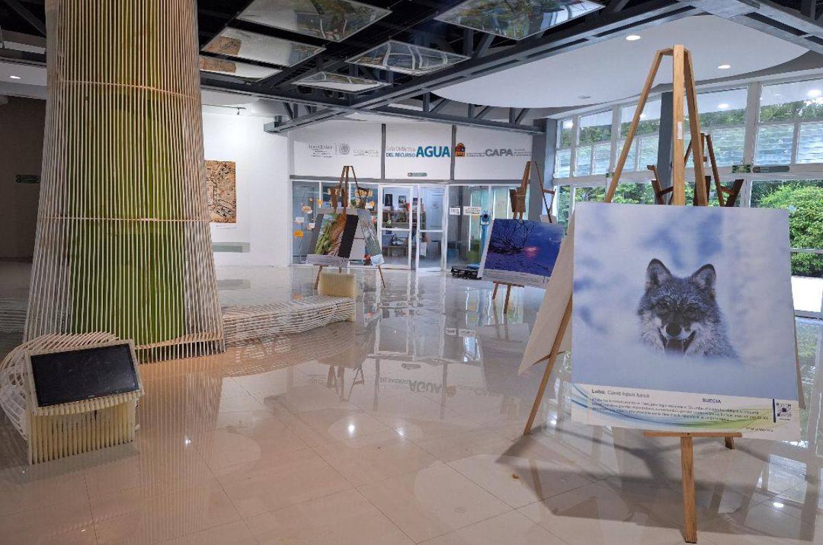 Interior del planetario de Cozumel, foto de Miriam Carmo