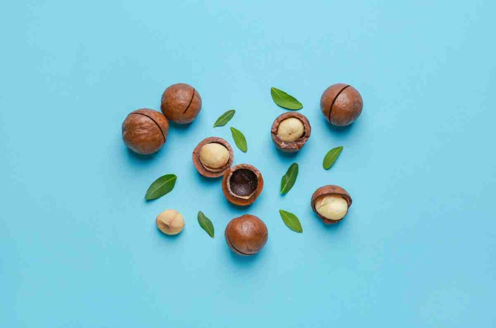 Propiedades y beneficios de las nueces de macadamia 0