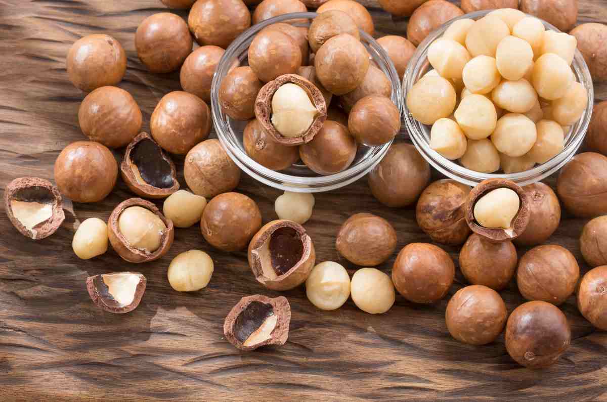 Propiedades y beneficios de las nueces de macadamia