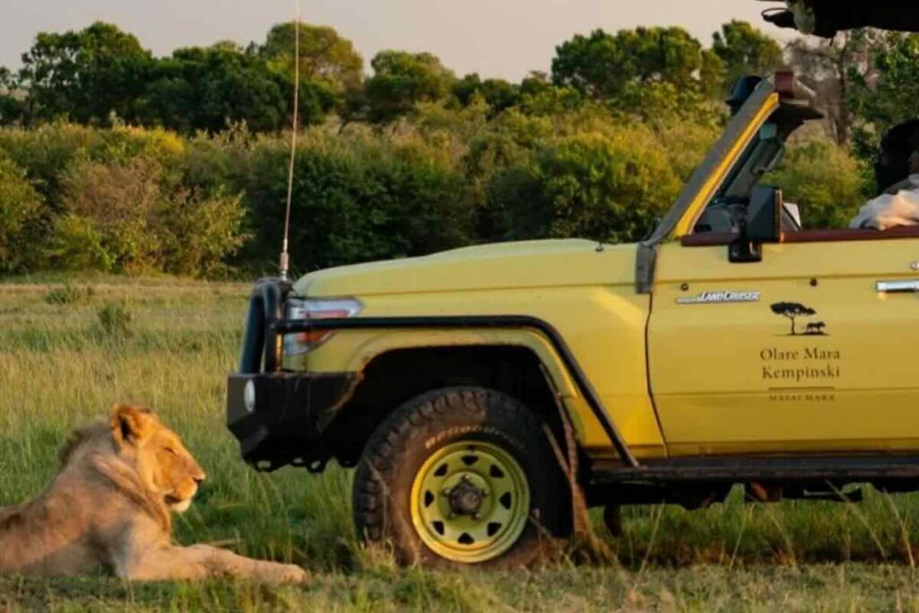 Kenia es uno de los destinos favoritos para conocer fauna salvaje.