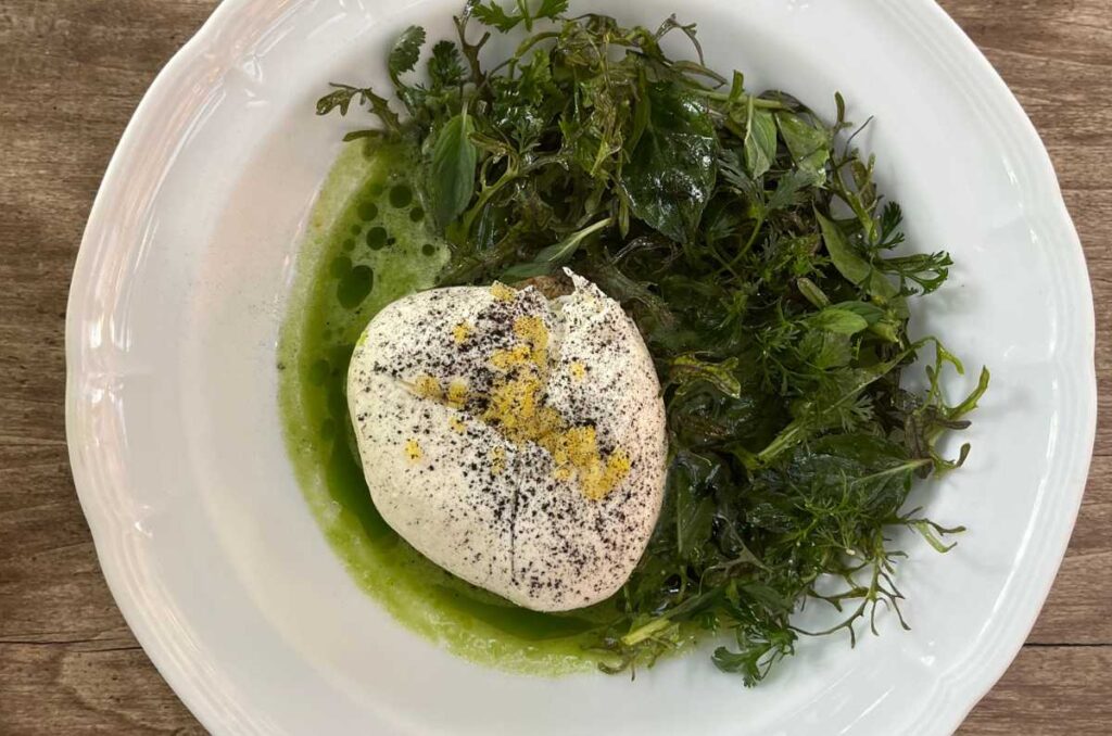 La burrata con greens en Terraza Palmares. Foto de Ollin Velasco