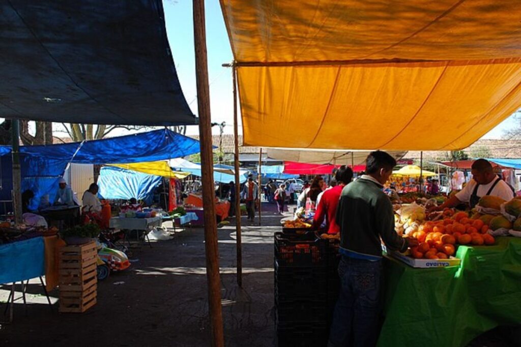 Los tianguis en México son una experiencia única donde se reúnen distintos elementos.