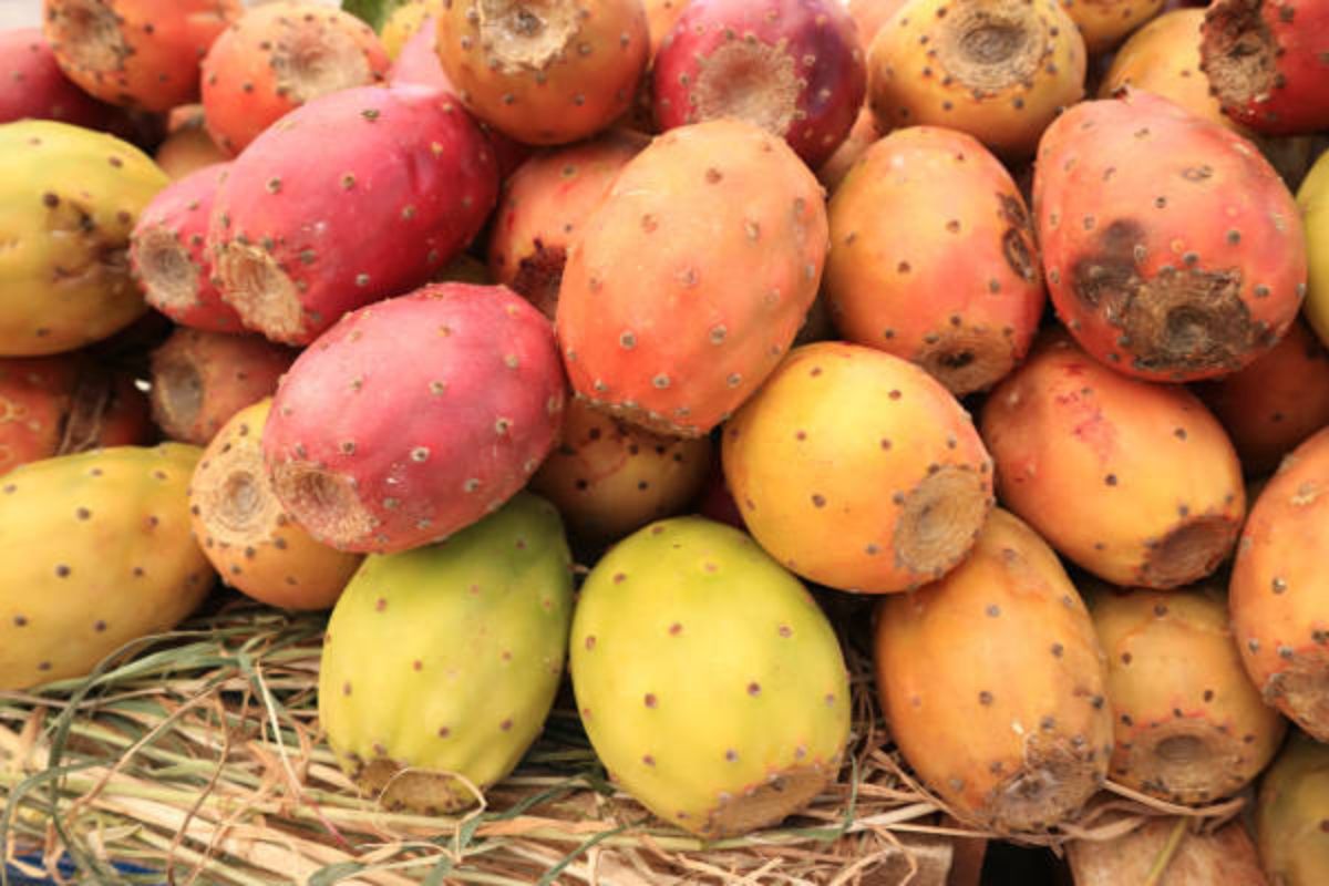 Tunas frescas con cáscara. Foto de Flickr.