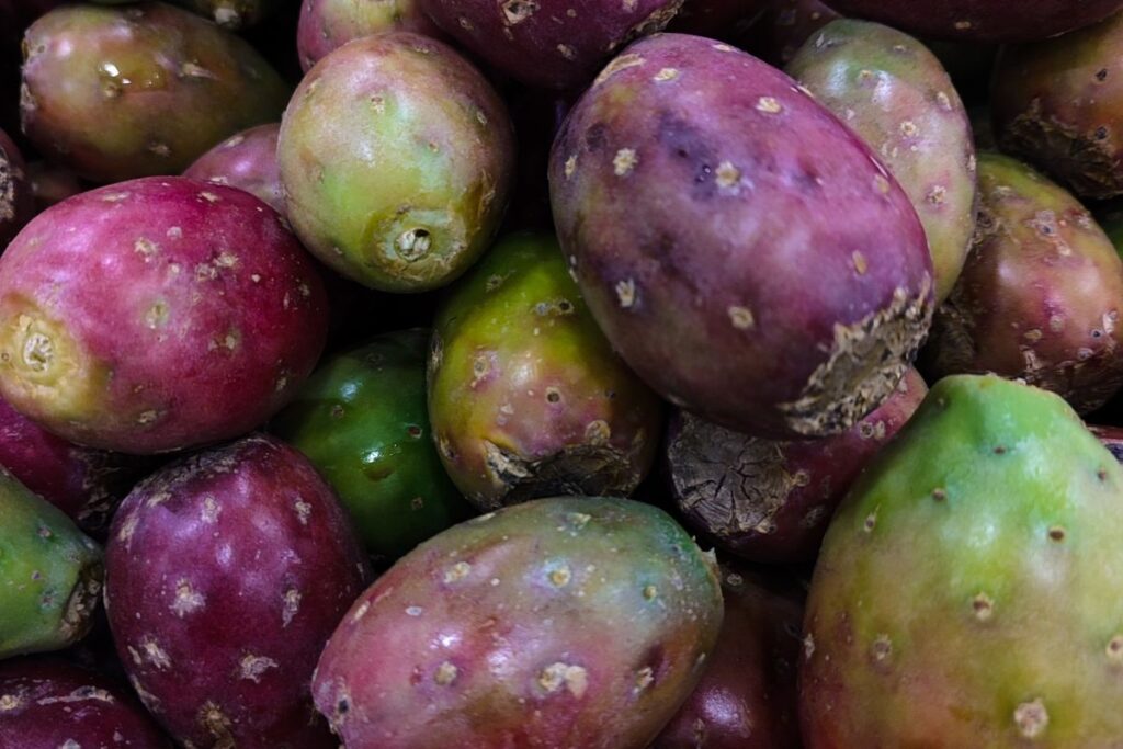 Los tipos de tunas en México pueden aprovecharse en recetas dulces o saladas.