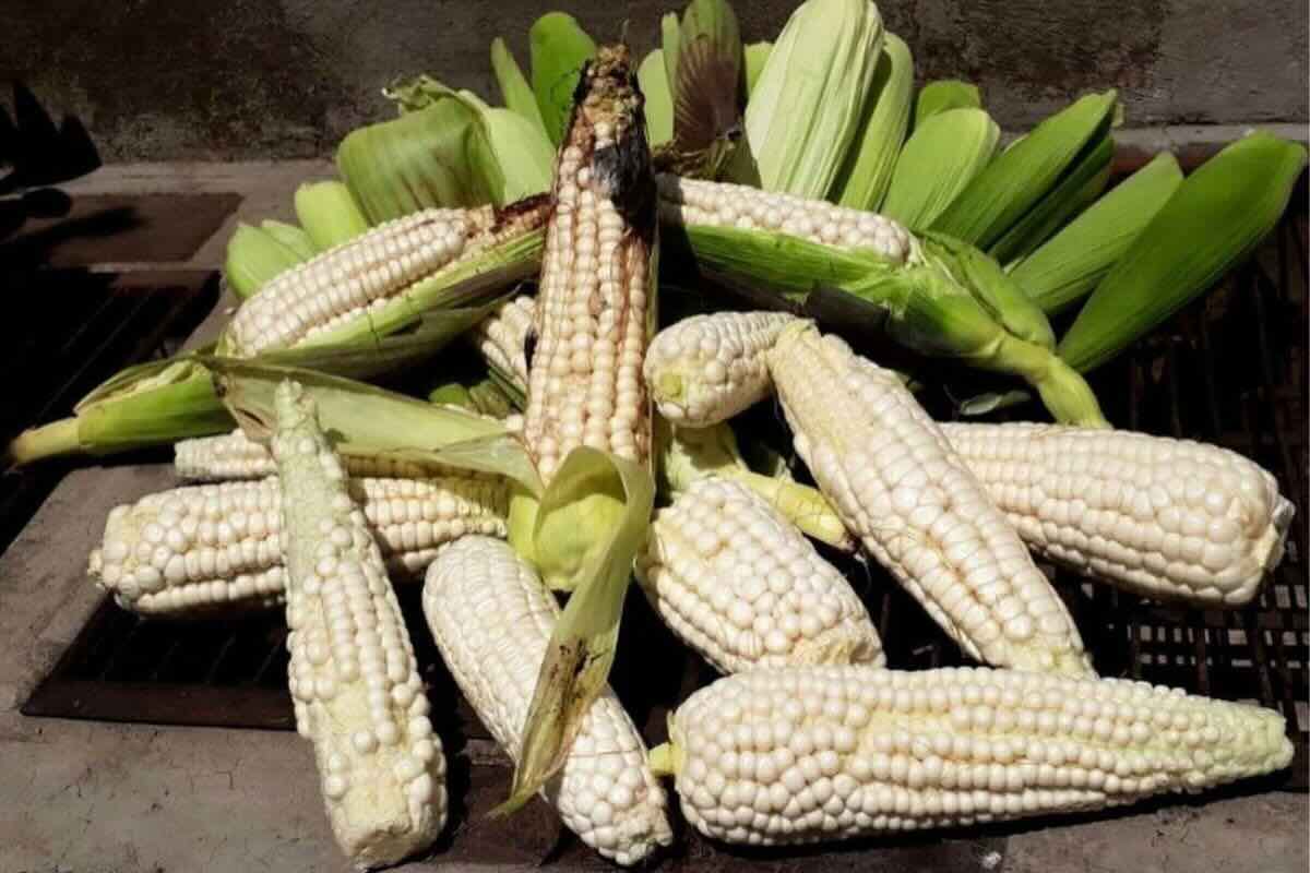 Elote blanco con cáscara. Foto de Flickr.