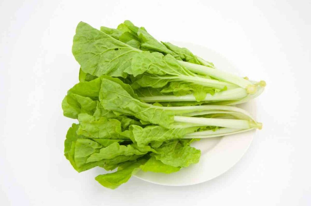 Cómo usar la lechuga en la cocina más allá de las ensaladas 0