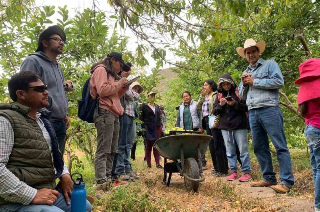 Proyecto Garambuñño 