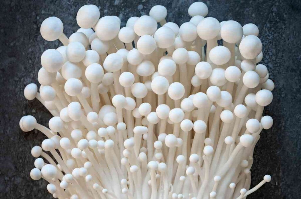 Usos y propiedades del hongo enoki, el protagonista de platillos asiáticos