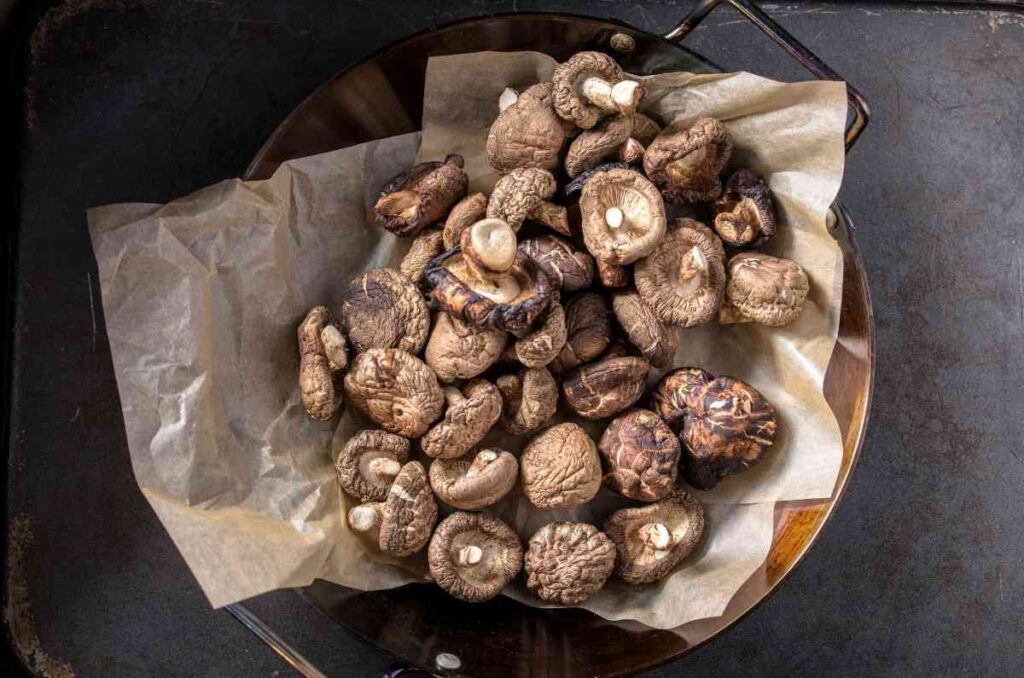 Historia de los hongos shiitake, propiedades y usos en la cocina 1