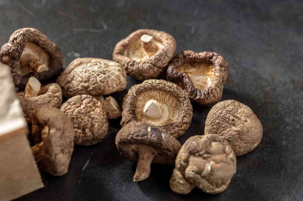 Historia de los hongos shiitake, propiedades y usos en la cocina