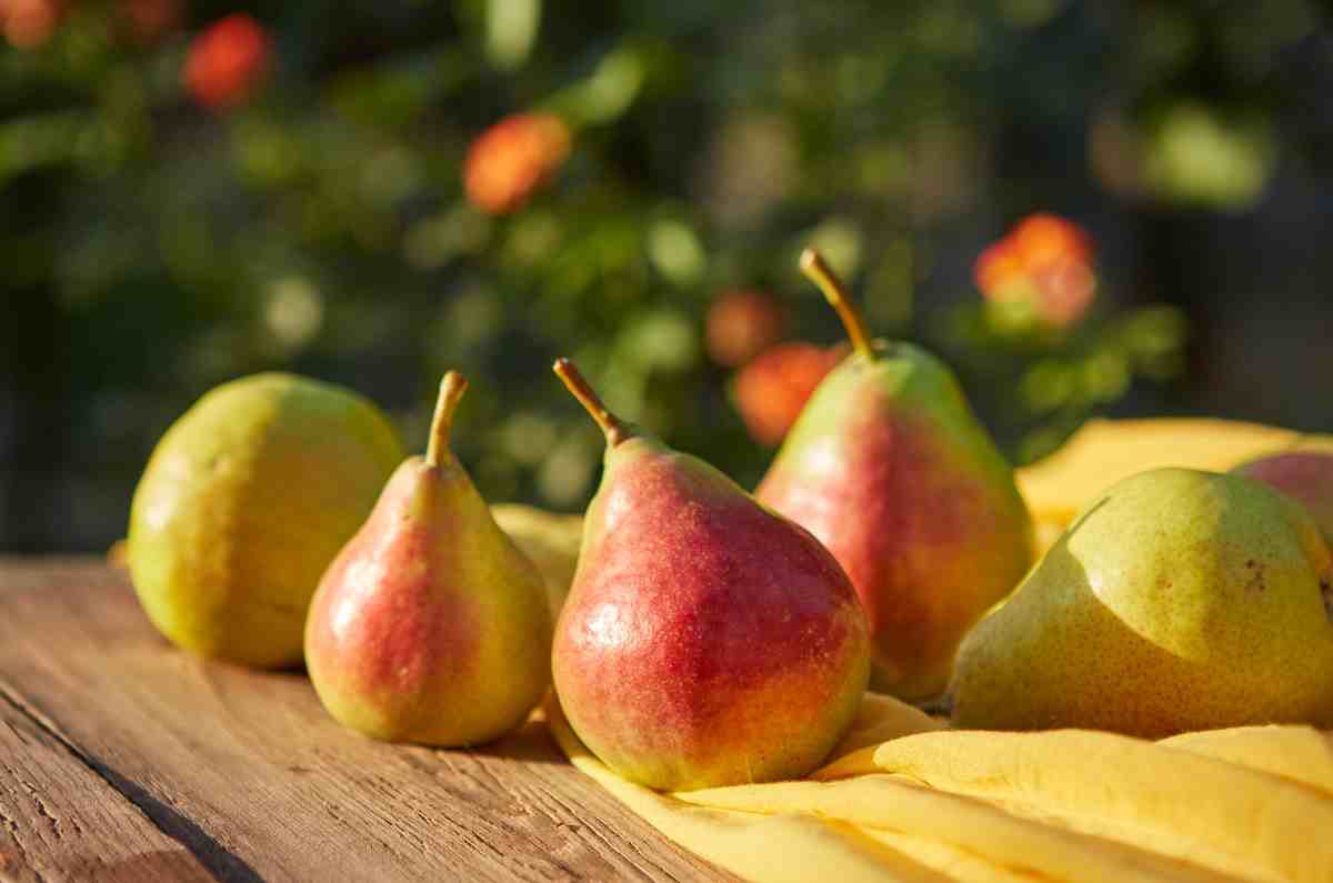 Propiedades, beneficios y usos de la pera en la cocina y más allá