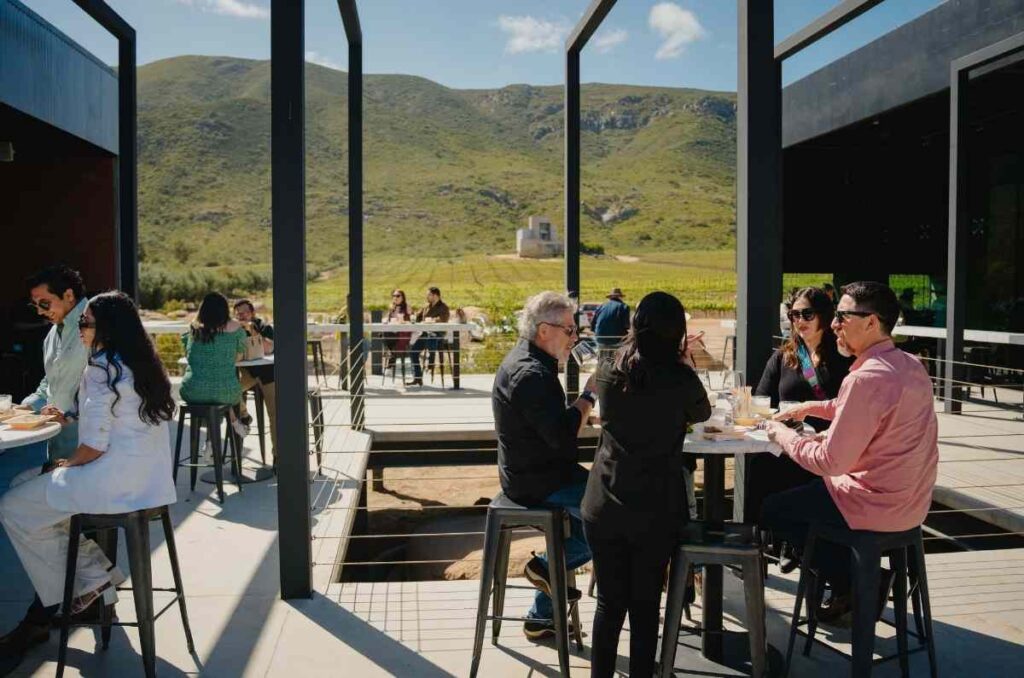 Radix, la innovación culinaria en el corazón del Valle de Guadalupe