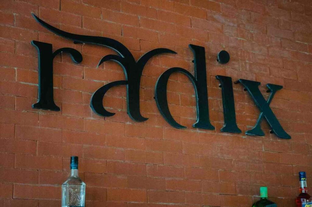 Radix, la innovación culinaria en el corazón del Valle de Guadalupe 0