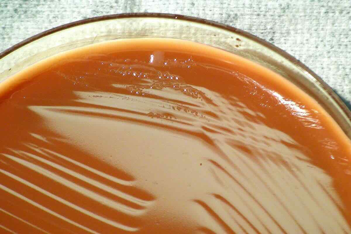 1. Cajeta