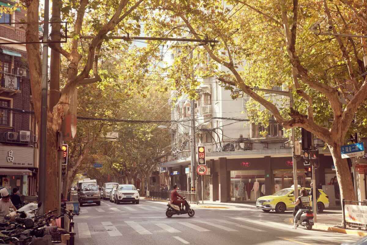 Calles de la ciudad de Shanghái. Foto de cortesía.